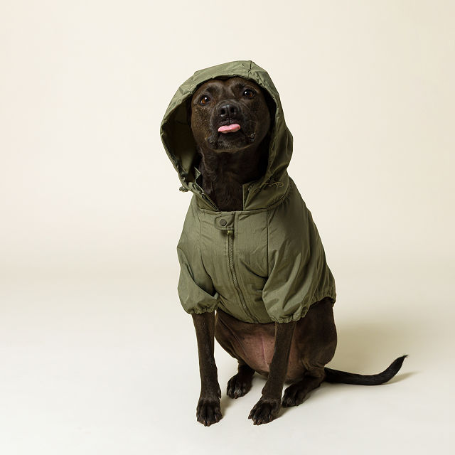 1029-water-resistant-packable-doggy-rain-jacket-1.jpg
