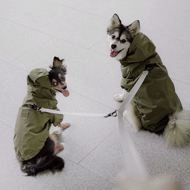 1029-water-resistant-packable-doggy-rain-jacket-1.jpg
