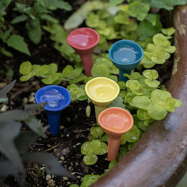 Ceramic Bee Drinking Cup - Set of 5