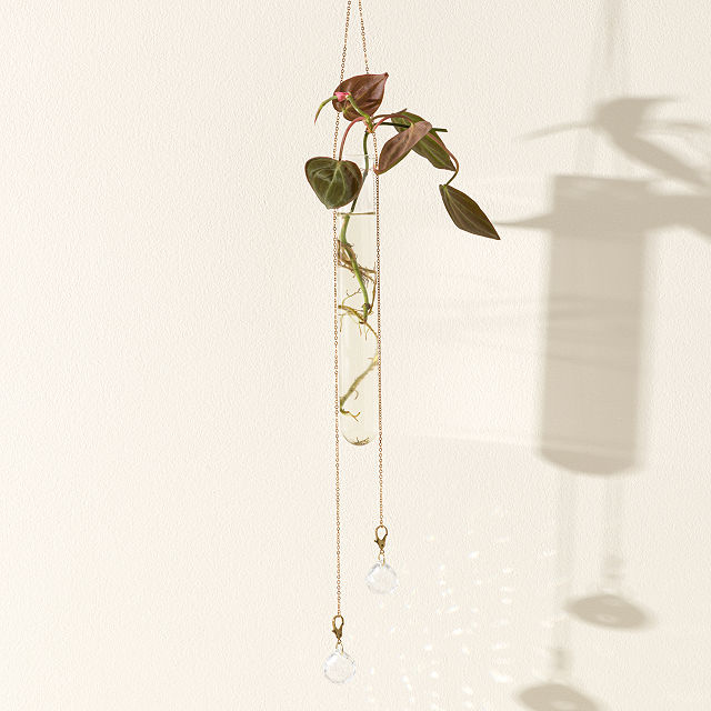 1096-crystal-suncatcher-hanging-propagation-station-1.jpg