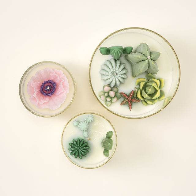 1160-terrarium-candle-1.jpg
