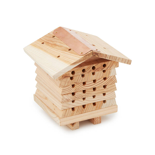1231-solitary-bee-hive-1.jpg