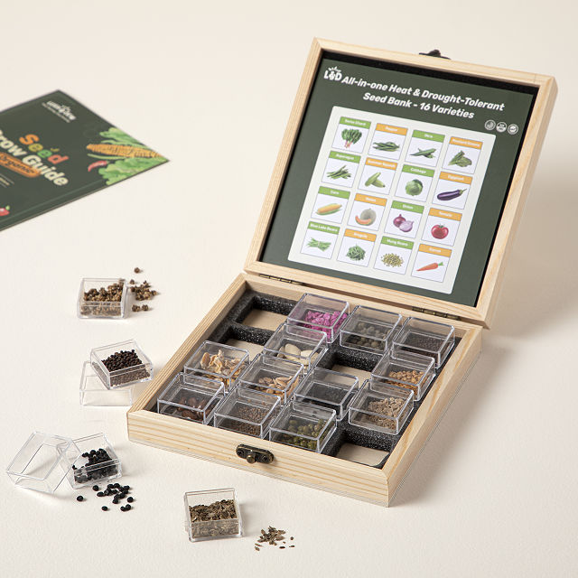 Garden To Table Seed Bank Gift Set