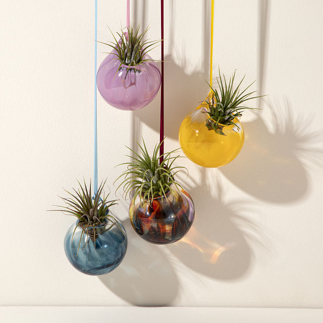 1274-bubble-vase-air-planter-1.jpg