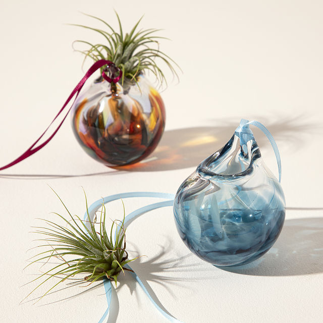 1274-bubble-vase-air-planter-1.jpg