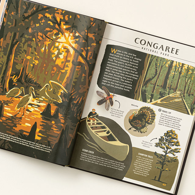 Illustrated National Parks Guide Book