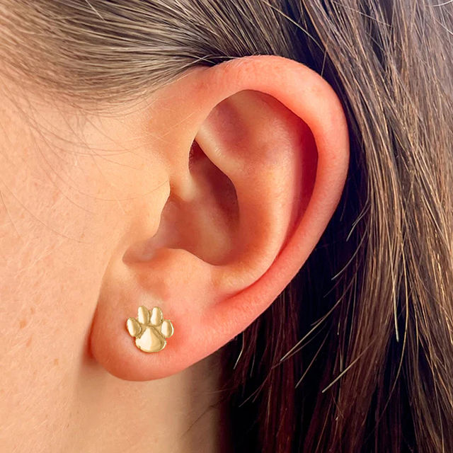 1538-show-your-spirit-college-stud-earrings-1.jpg