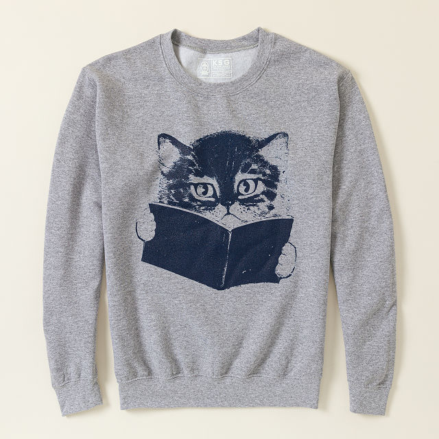 1552-do-not-disturb-i-m-reading-sweatshirt-1.jpg