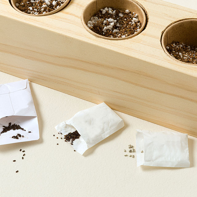1573-cocktail-garden-starter-grow-kit-1.jpg