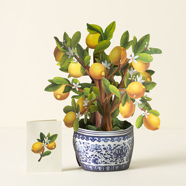 Meyer Lemon Pop Up Greeting Card