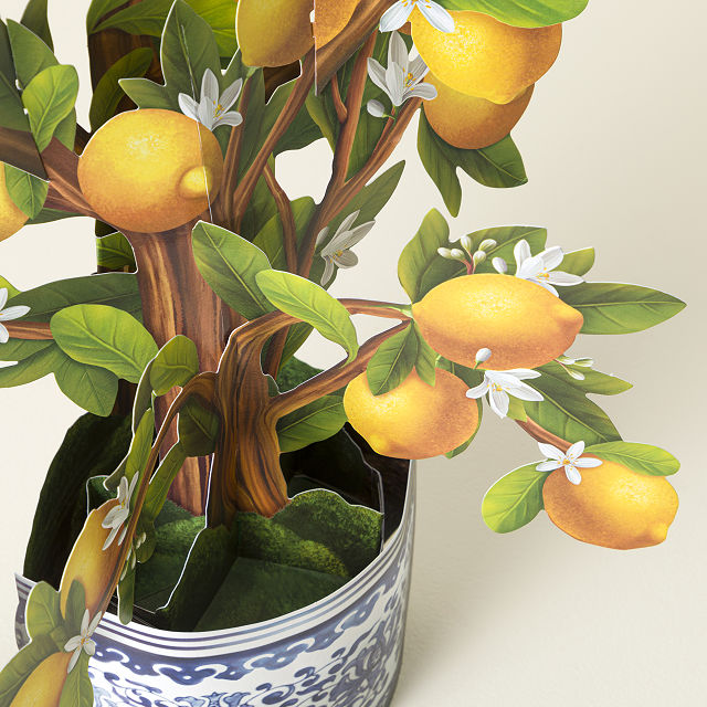 Meyer Lemon Pop Up Greeting Card
