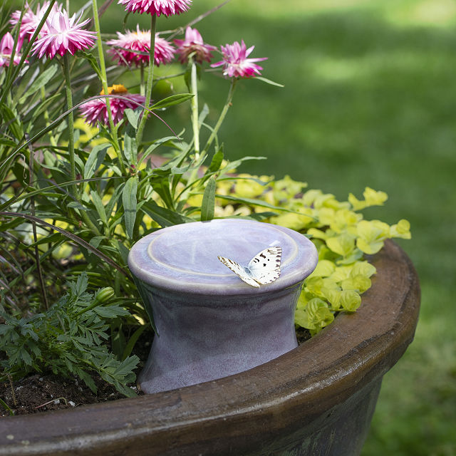 1746-pedestal-butterfly-puddler-1.jpg