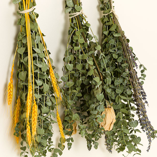 1749-eucalyptus-lavender-rose-shower-spa-bundle-1.jpg