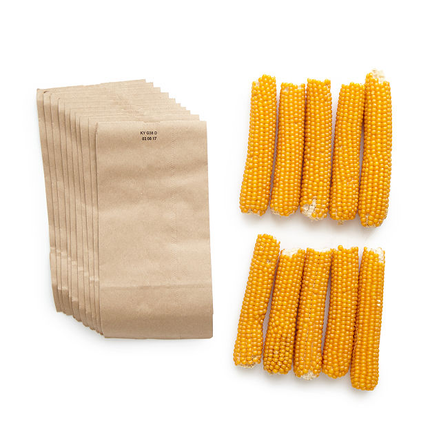 1759-popcorn-on-the-cob-1.jpg