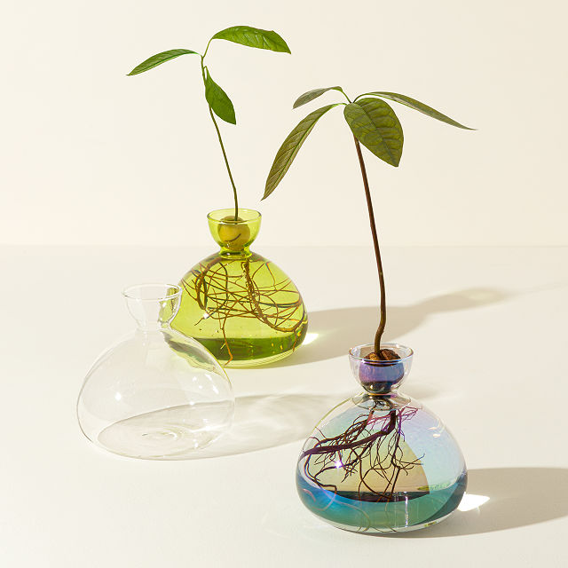 1811-avocado-vase-1.jpg