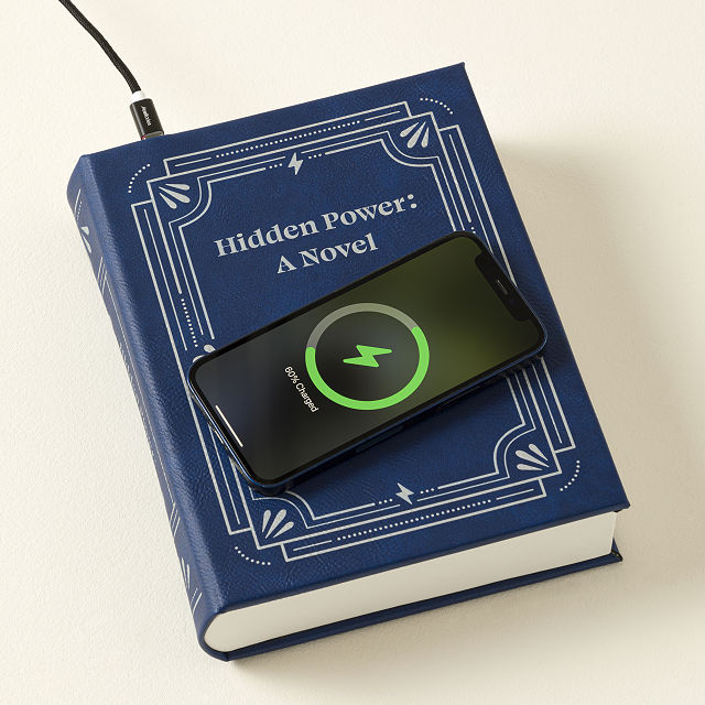 1813-hidden-power-wireless-charger-1.jpg