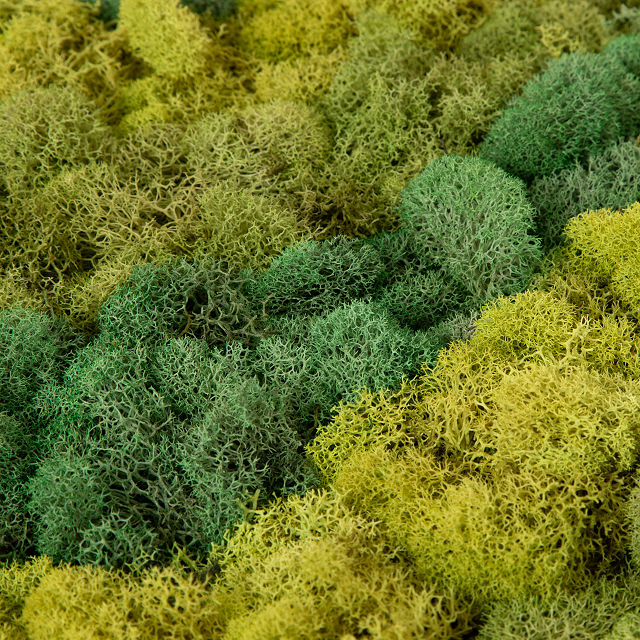 1844-moss-art-by-numbers-1.jpg