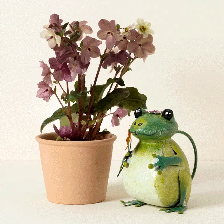1847-fred-the-frog-watering-can-1.webp