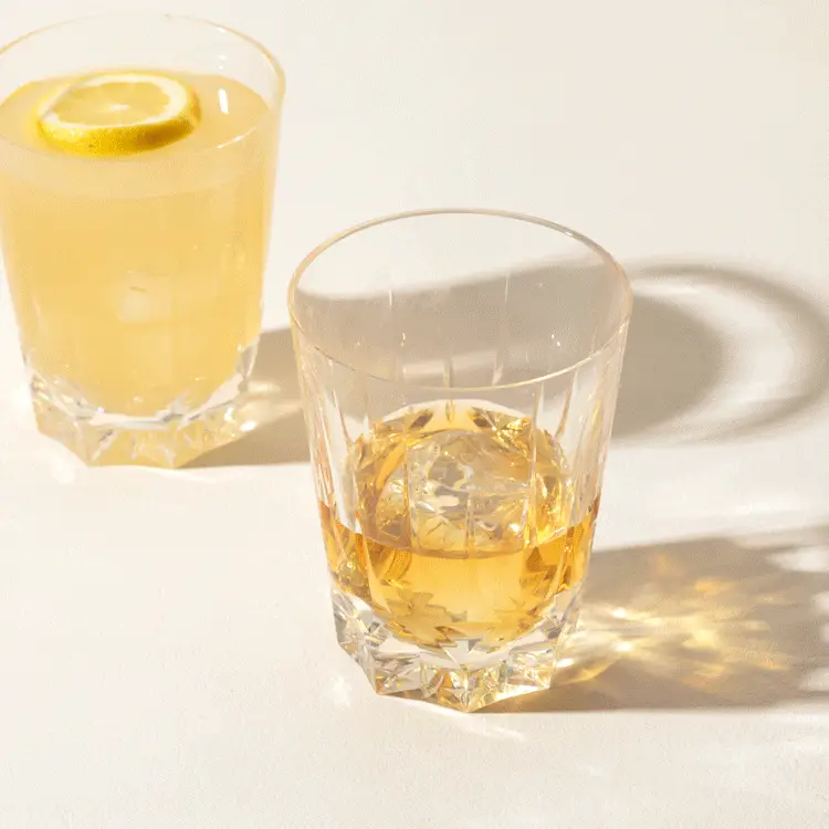 Unbreakable Cocktail Glasses - Set of 2
