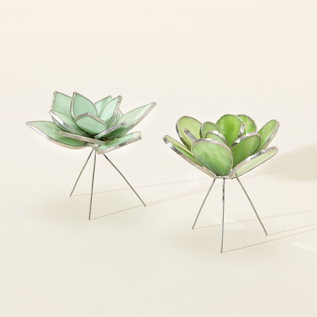 Everlasting Stained Glass Succulents