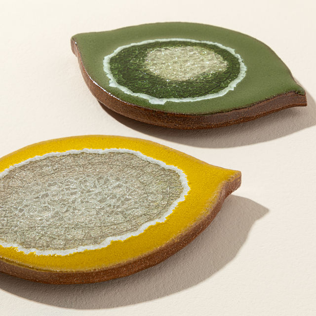 Lemon & Lime Coaster Set
