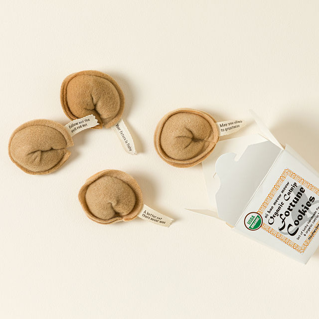 1985-catnip-fortune-cookie-toy-1.jpg