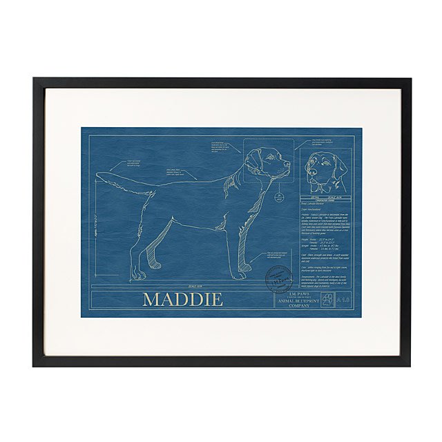 Personalized Dog Blueprints