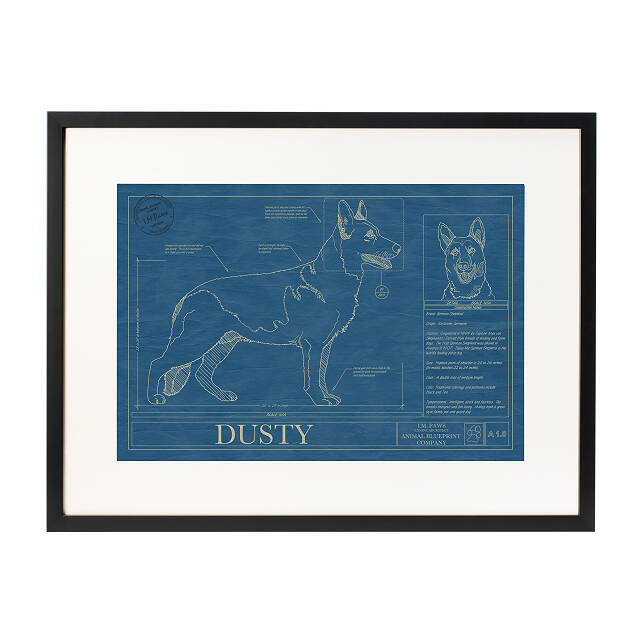 2065-personalized-dog-blueprints-1.jpg