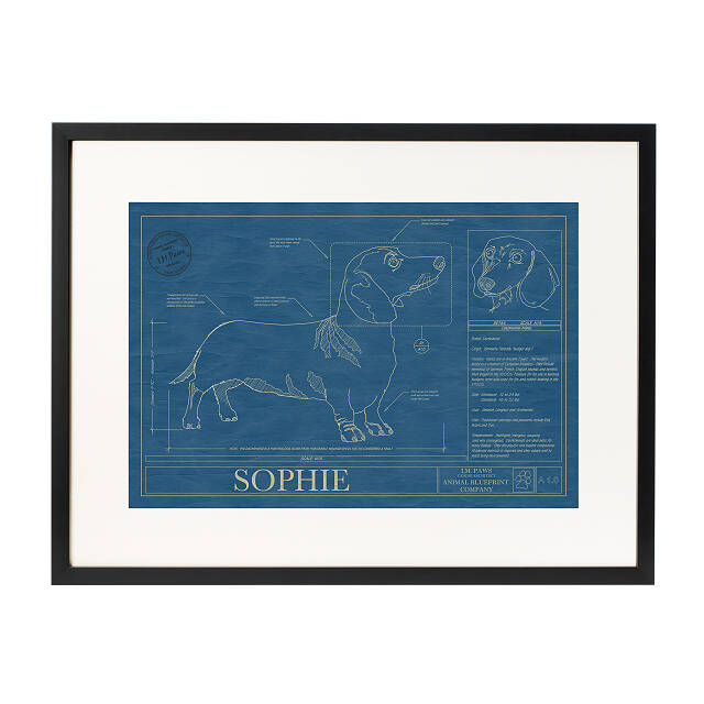 2065-personalized-dog-blueprints-1.jpg