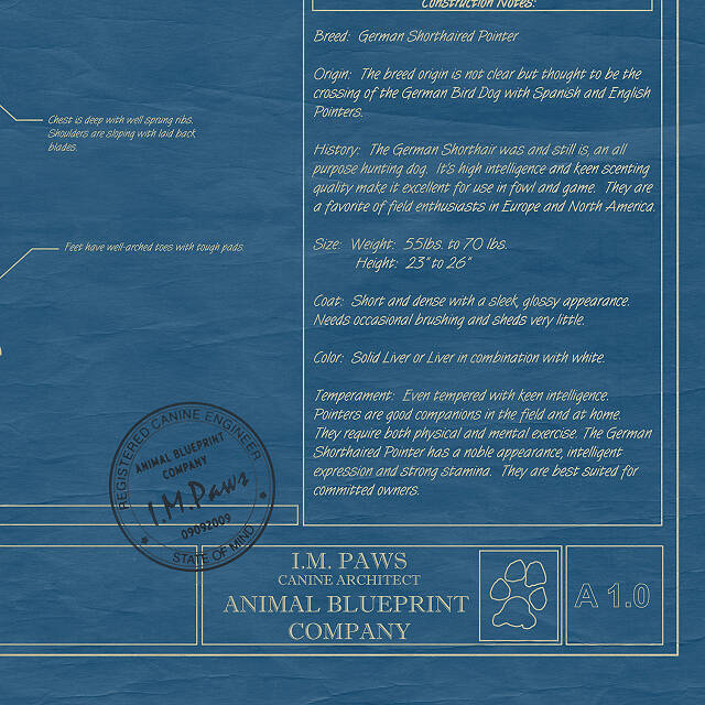 2065-personalized-dog-blueprints-1.jpg