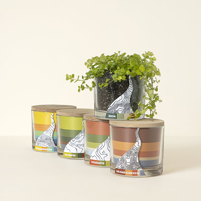 Grow Your Own National Park Botanicals Kit