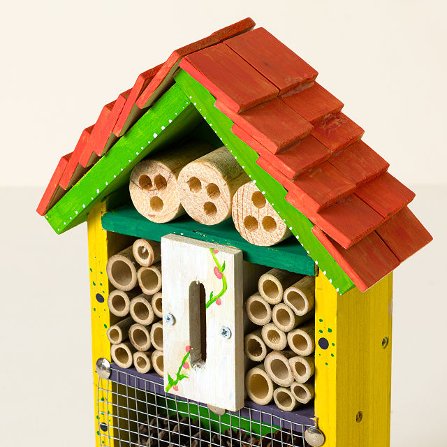 2093-build-your-own-bug-hotel-1.jpg