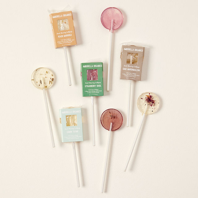 Blooming Lollipops