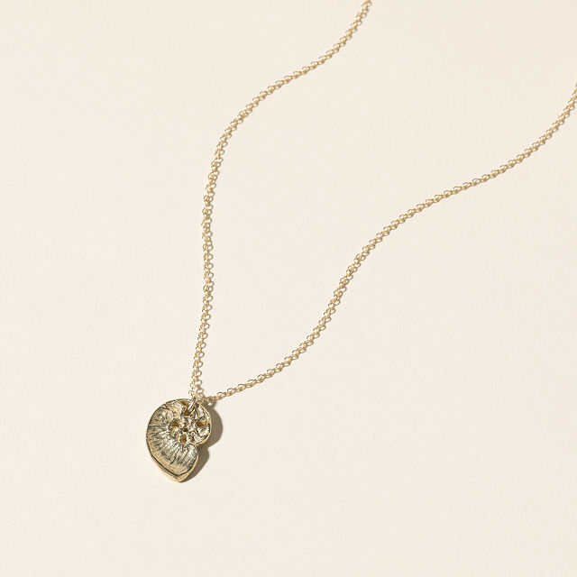 14k Gold Nautilus Necklace