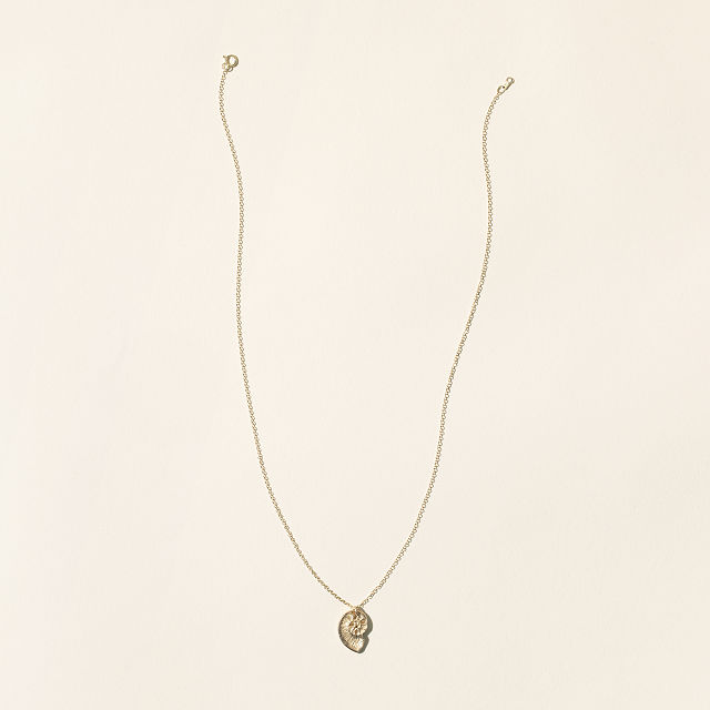 14k Gold Nautilus Necklace