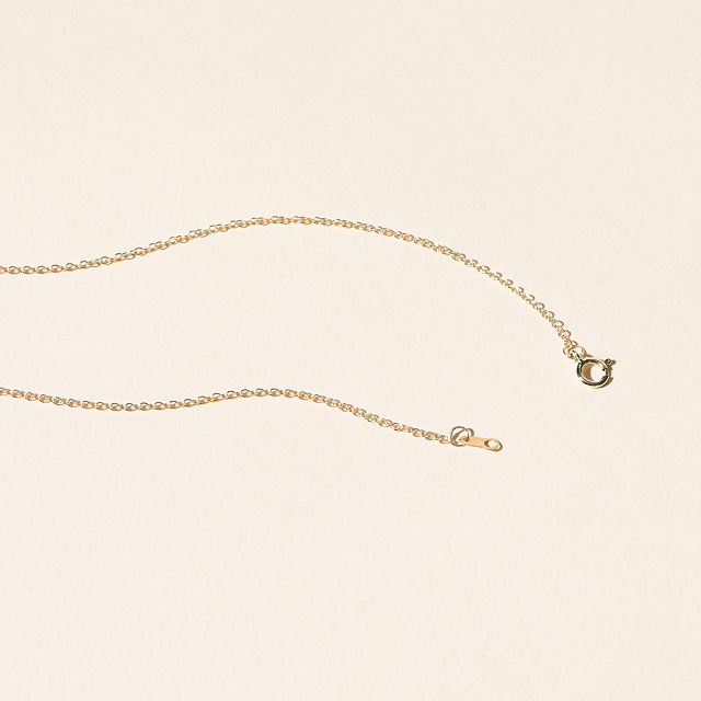 2121-14k-gold-nautilus-necklace-1.jpg