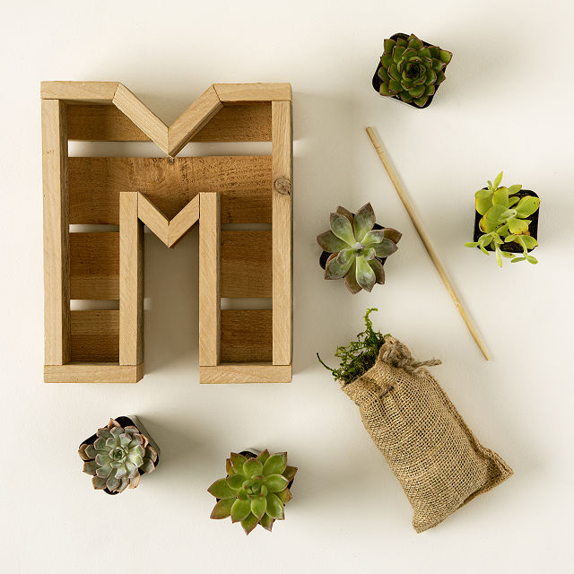 2167-succulent-letter-diy-kit-1.jpg