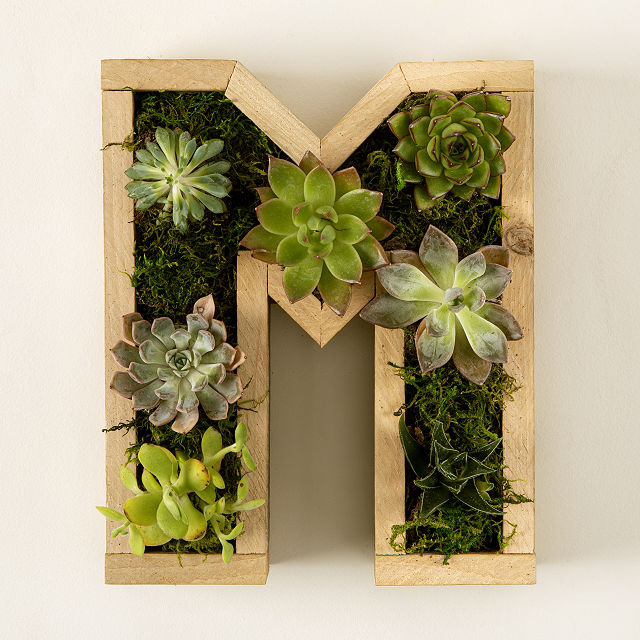 2167-succulent-letter-diy-kit-1.jpg