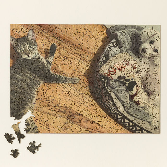 2181-custom-wood-pet-puzzle-and-storage-box-1.jpg