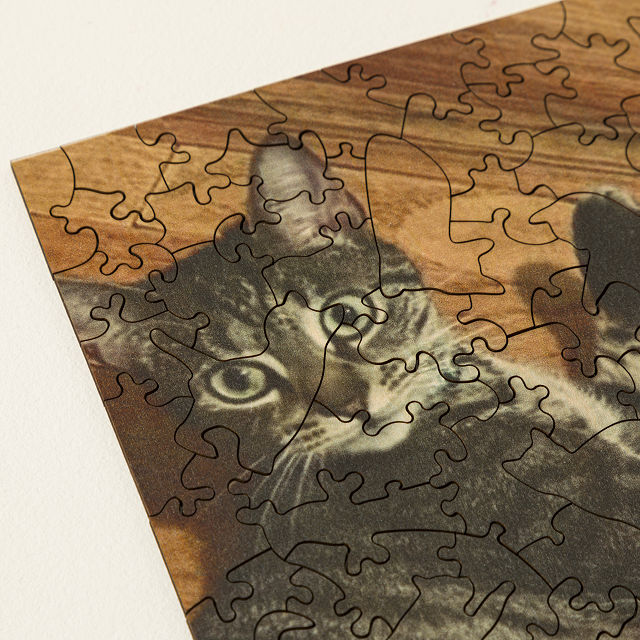 2181-custom-wood-pet-puzzle-and-storage-box-1.jpg