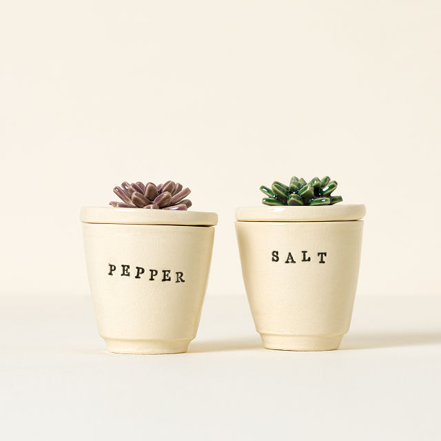 222-succulent-salt-pepper-pots-1.jpg