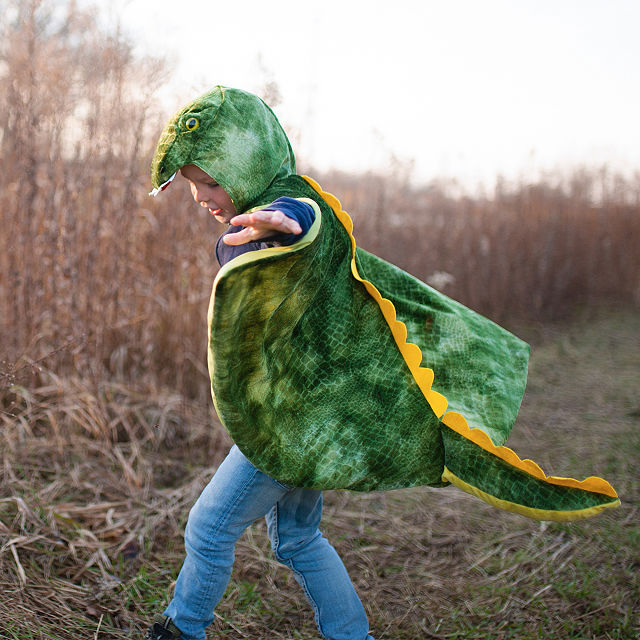 2290-dinosaur-dress-up-capes-1.jpg