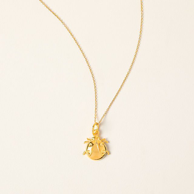 2345-ladybug-for-prosperity-necklace-1.jpg