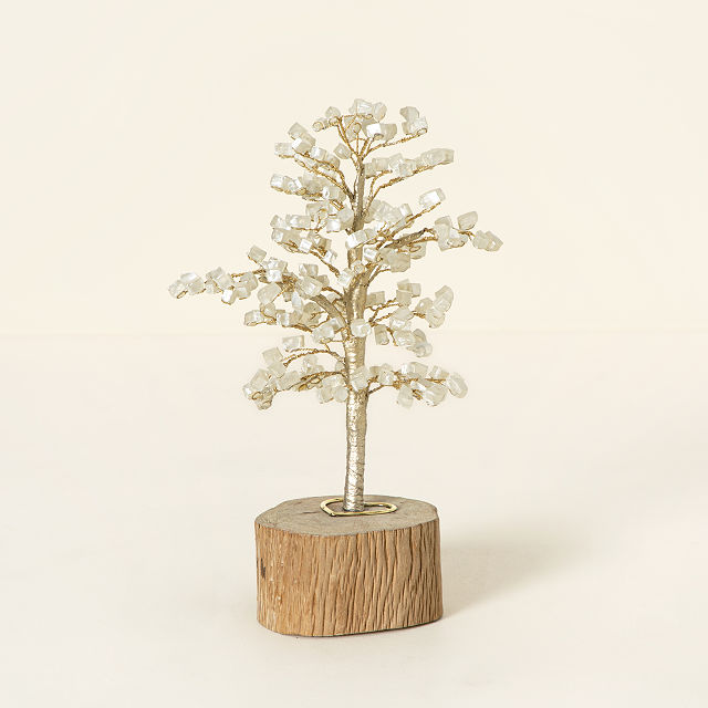 2383-as-we-grow-anniversary-milestone-tree-1.jpg