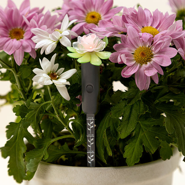 Planter Water Alarm