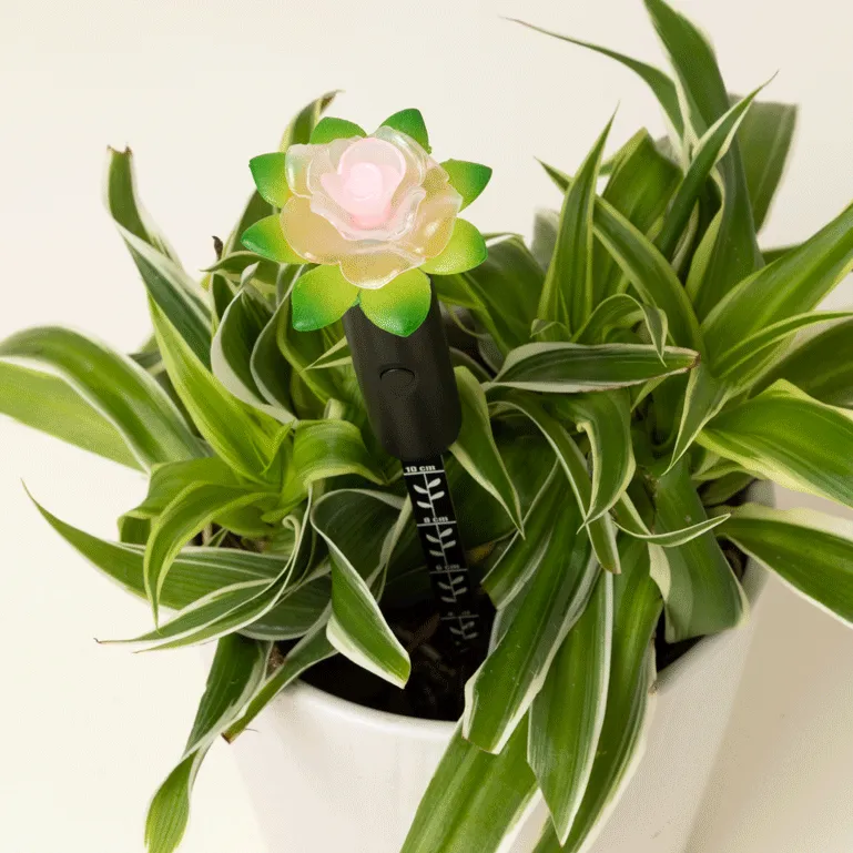 2415-planter-water-alarm-1.jpg