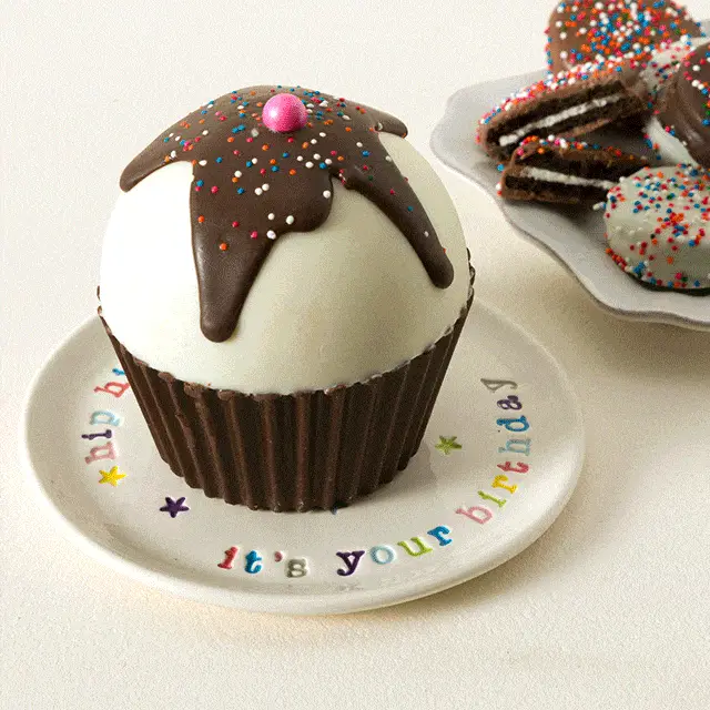Breakable Birthday Cupcake