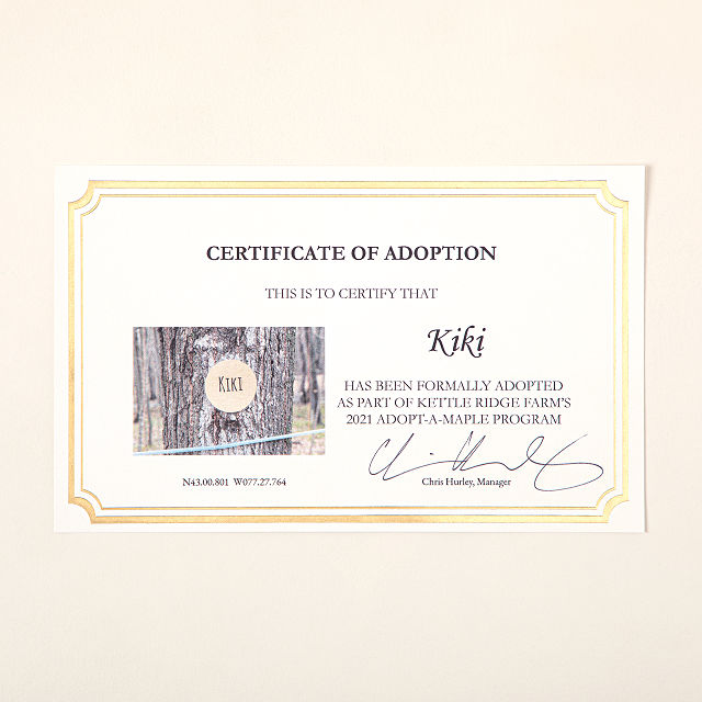 2435-adopt-a-maple-tree-gift-set-1.jpg