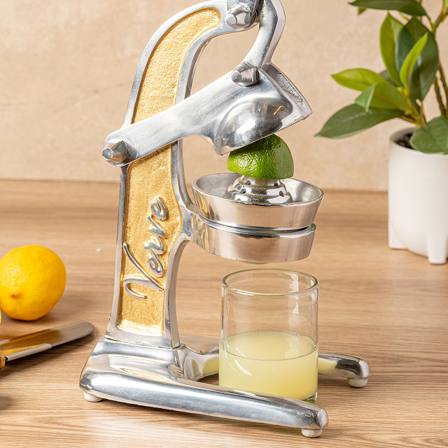 2470-countertop-citrus-juicer-1.jpg