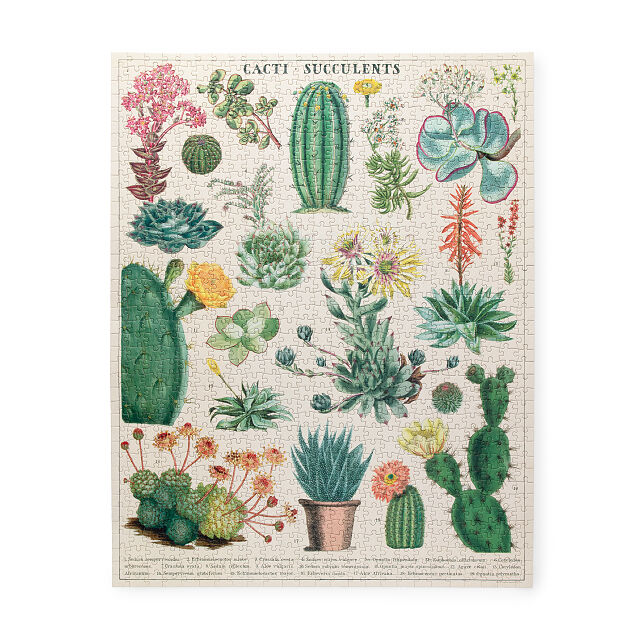 2475-vintage-succulents-puzzle-1.jpg